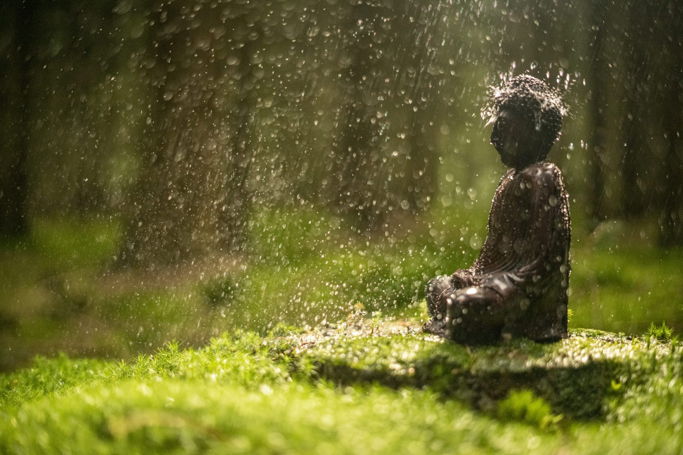 Stress en burnout begeleiding